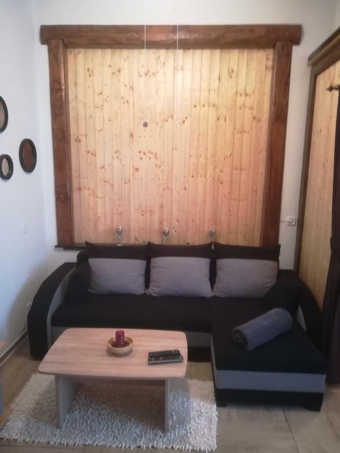Apartman Pod Vezi I Česká Kamenice エクステリア 写真