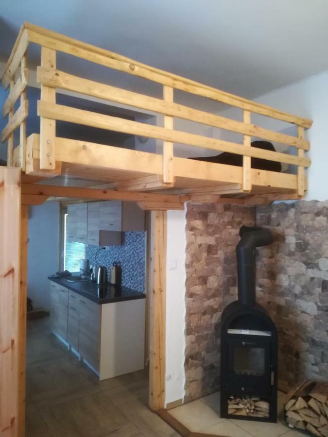 Apartman Pod Vezi I Česká Kamenice エクステリア 写真